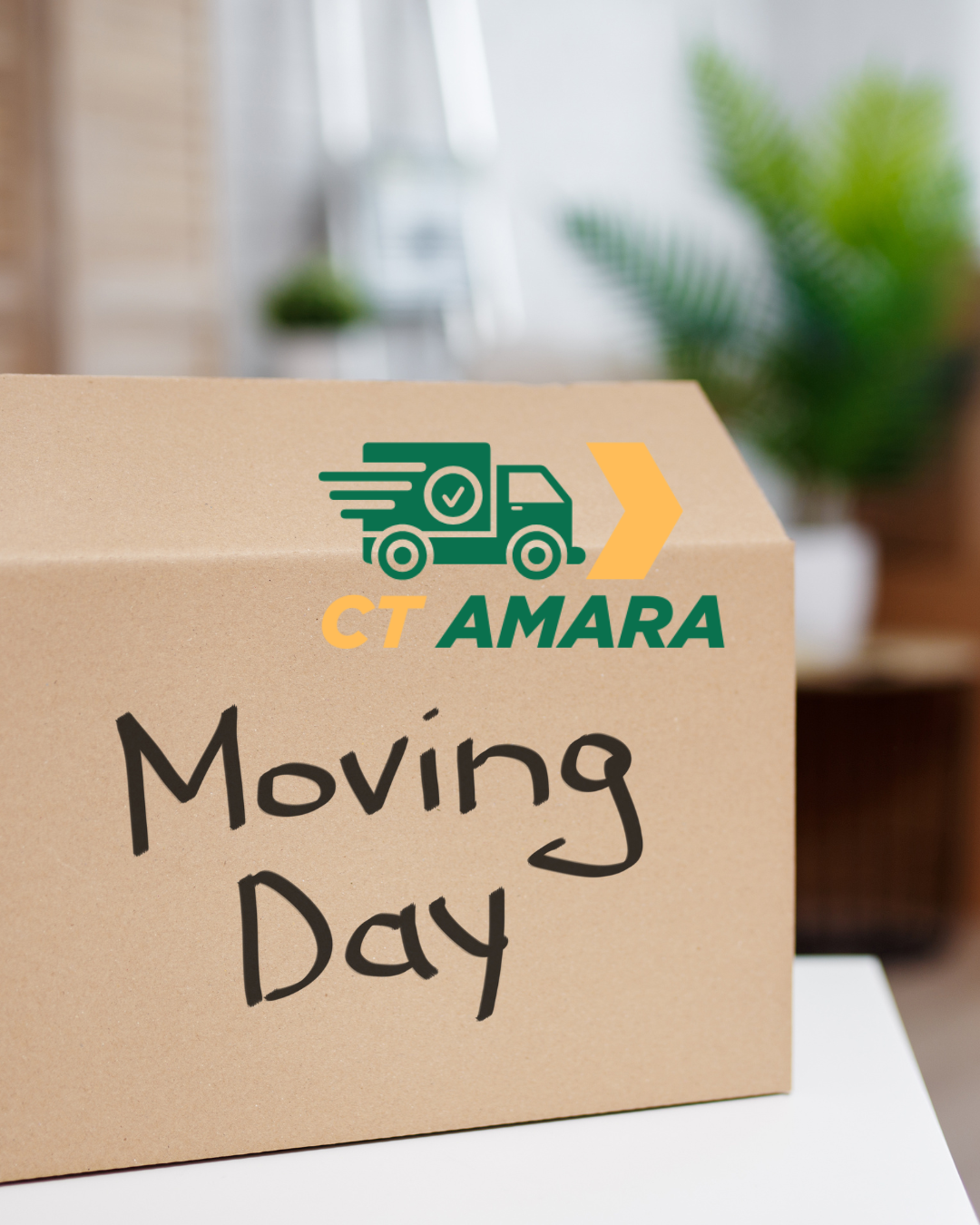 Mudanza y transportes