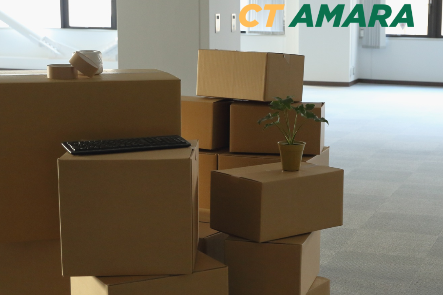 Mudanza y transportes