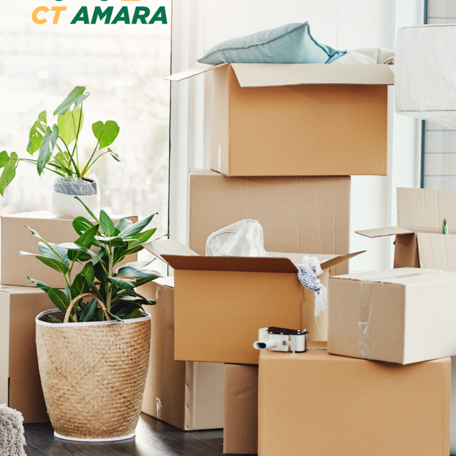 Transporte y mudanzas