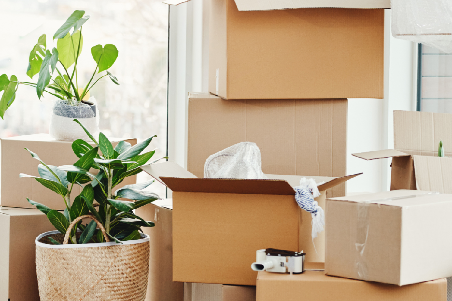 Transporte y mudanzas